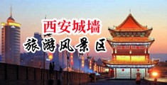 肏日本小妞的屄眼中国陕西-西安城墙旅游风景区